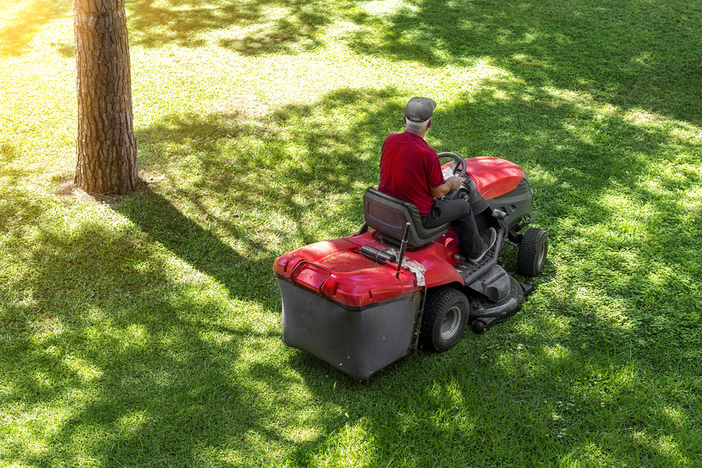 Red riding lawn mower on large lawn